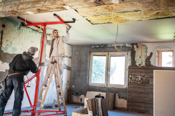 Best Insulation Inspection Services  in Bath, MI