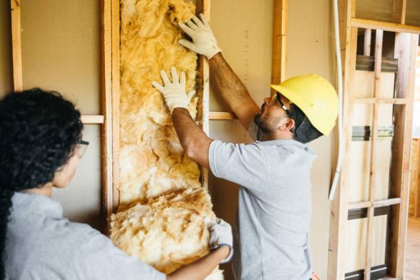 Best Insulation Removal  in Bath, MI