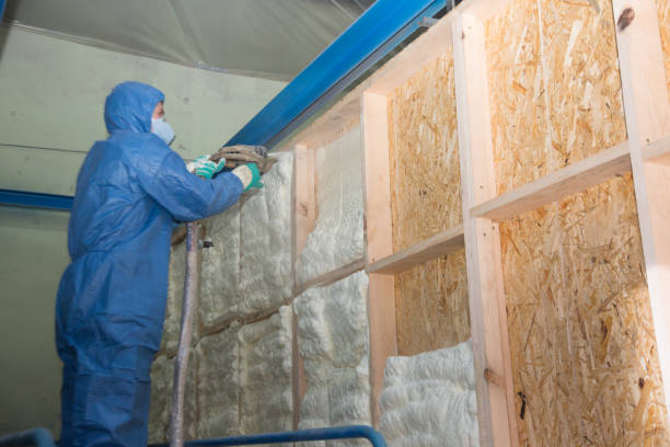 Professional Insulation Contractor in Bath, MI