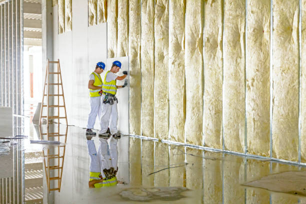 Best Insulation Contractor Near Me  in Bath, MI